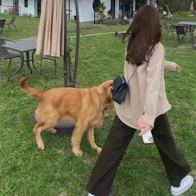 红鹰传